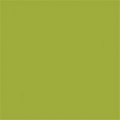Aloe Green Colored Wrapping Tissue (20"x30")